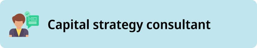 Fundraising & Capital Strategy Consultant